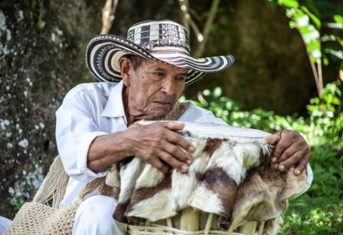 gente colombia